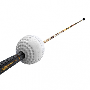 Momentus Whoosh Swing Trainer